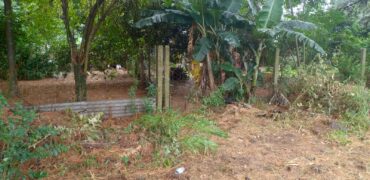 terreno condomínio querencia parada 79 Águas claras Viamão