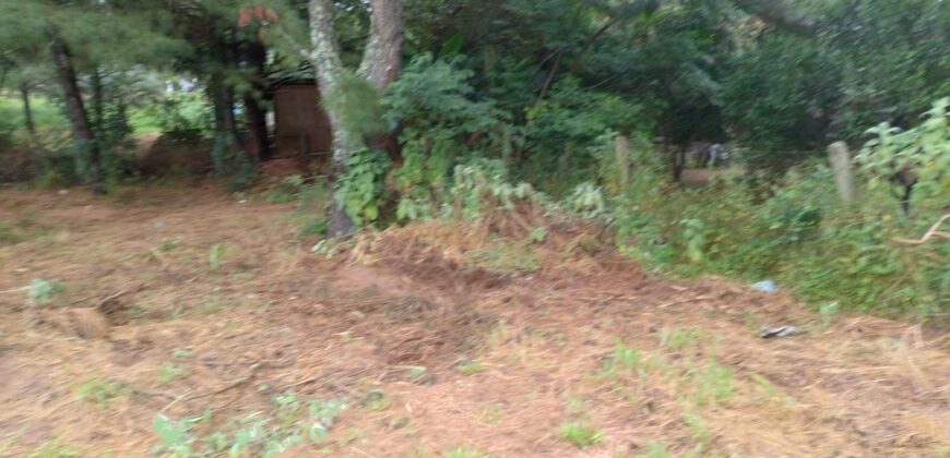 terreno condomínio querencia parada 79 Águas claras Viamão