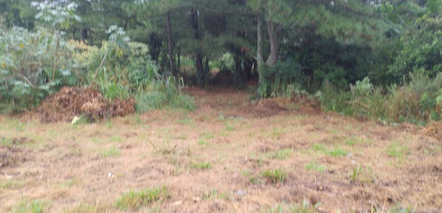 terreno condomínio querencia parada 79 Águas claras Viamão