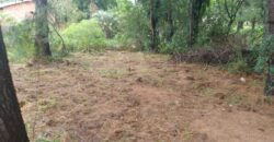 terreno condomínio querencia parada 79 Águas claras Viamão