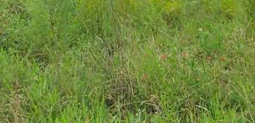 terreno condomínio querencia parada 79 Águas claras Viamão