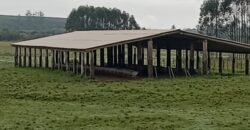 fazenda  132 hectares em Guaíba porteira fechada