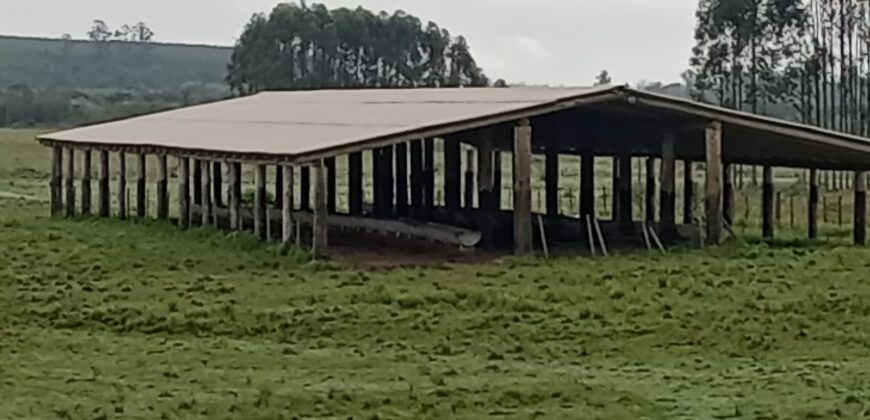 fazenda  132 hectares em Guaíba porteira fechada