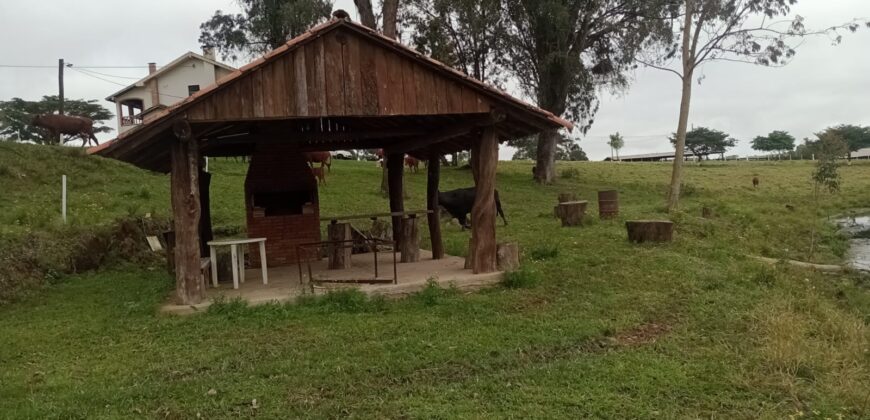 fazenda  132 hectares em Guaíba porteira fechada
