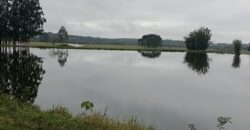 fazenda  132 hectares em Guaíba porteira fechada