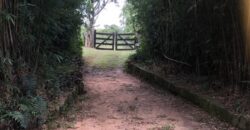 2  hectares na pimenta