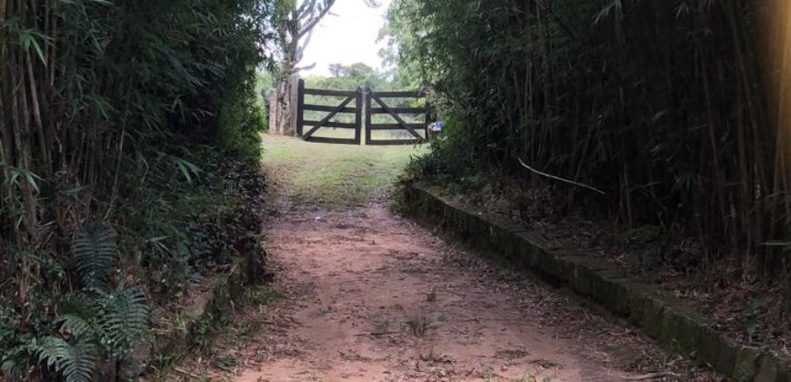 2  hectares na pimenta
