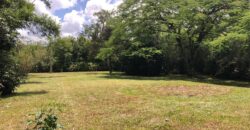 2  hectares na pimenta