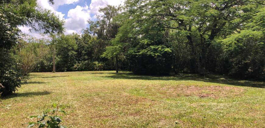 2  hectares na pimenta