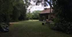 2  hectares na pimenta