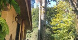 2  hectares na pimenta