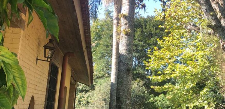 2  hectares na pimenta