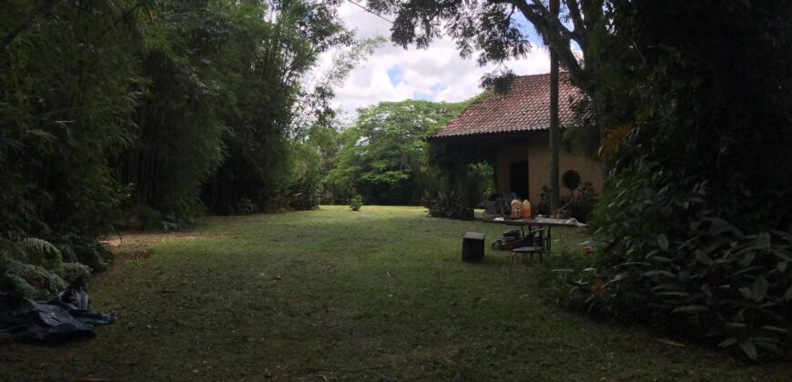 2  hectares na pimenta
