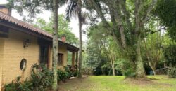 2  hectares na pimenta