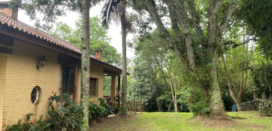 2  hectares na pimenta