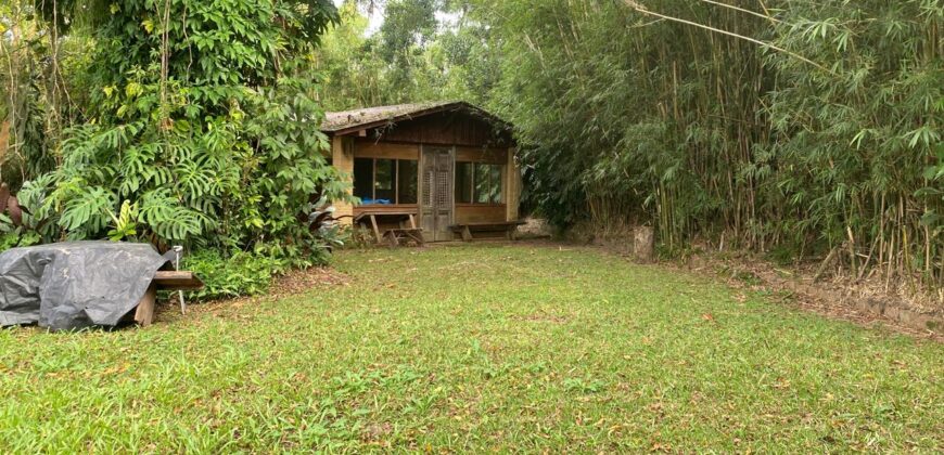 2  hectares na pimenta