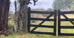 2  hectares na pimenta
