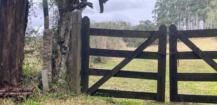 2  hectares na pimenta