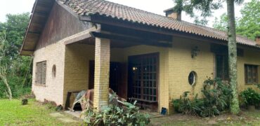 2  hectares na pimenta