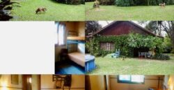 2  hectares na pimenta
