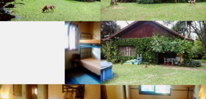 2  hectares na pimenta