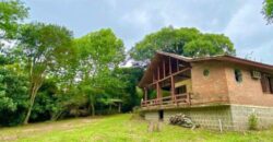 2  hectares na pimenta