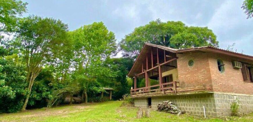 2  hectares na pimenta