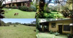 2  hectares na pimenta