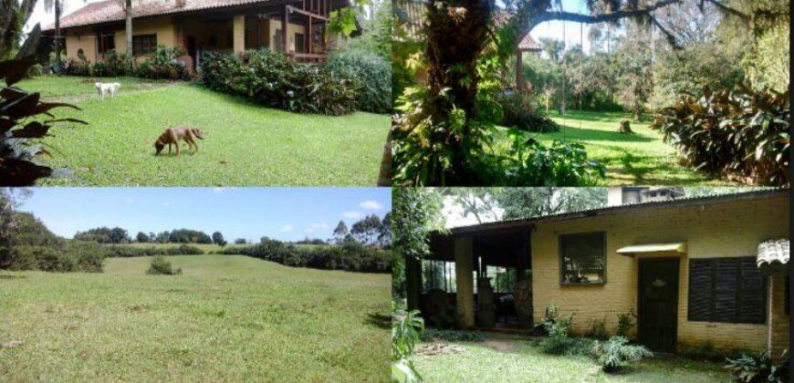 2  hectares na pimenta