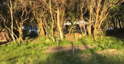 2   hectares  estrada rancho alegre parada 91 Águas claras Viamão