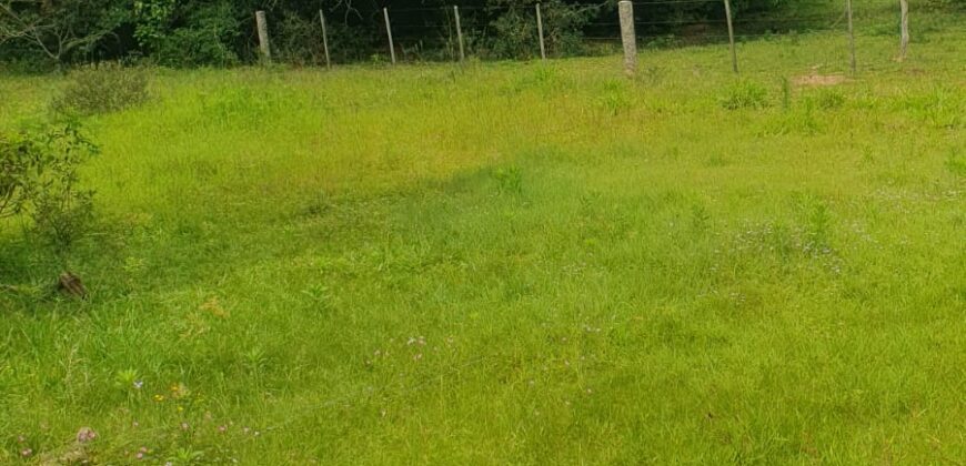 1 hectar escriturado c/ açude  3 km da rs 040 parada 83