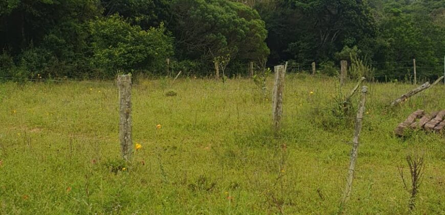 1 hectar escriturado c/ açude  3 km da rs 040 parada 83