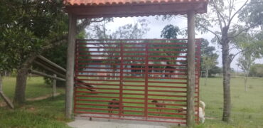 sitio c/ 7070 m2  parada 91 aguas claras viamão