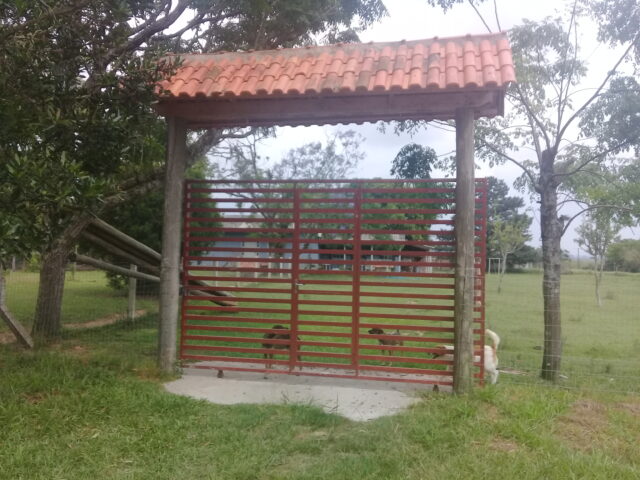 sitio c/ 7070 m2  parada 91 aguas claras viamão
