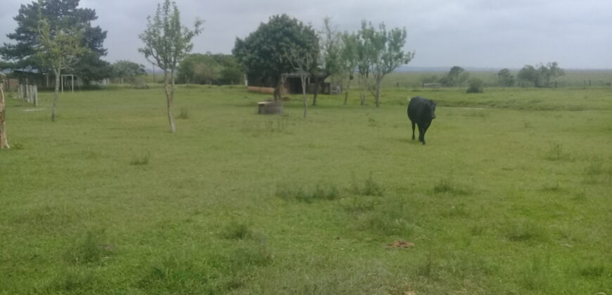 sitio c/ 7070 m2  parada 91 aguas claras viamão