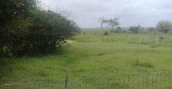sitio c/ 7070 m2  parada 91 aguas claras viamão