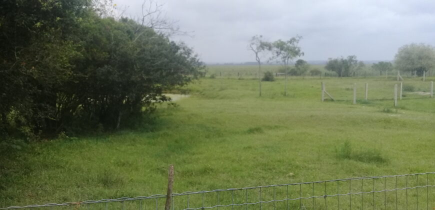 sitio c/ 7070 m2  parada 91 aguas claras viamão