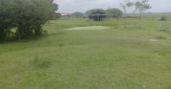 sitio c/ 7070 m2  parada 91 aguas claras viamão