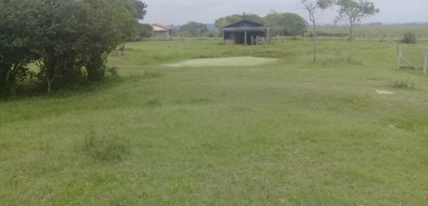 sitio c/ 7070 m2  parada 91 aguas claras viamão