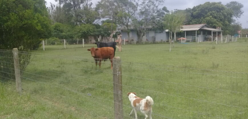 sitio c/ 7070 m2  parada 91 aguas claras viamão
