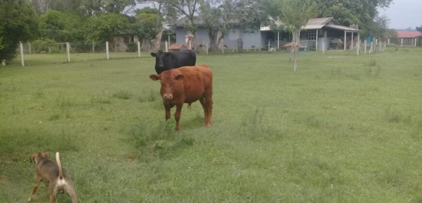 sitio c/ 7070 m2  parada 91 aguas claras viamão