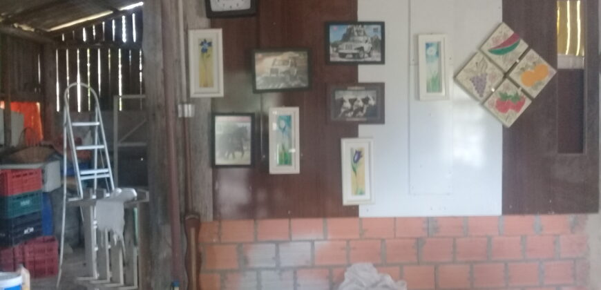 casa á 500 metros da rs 040 aguas claras viamão