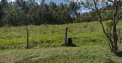 casa c/ 2 hectares parque eldorado 8 km da BR 290