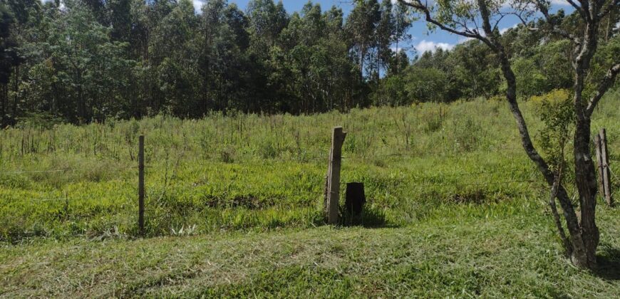 casa c/ 2 hectares parque eldorado 8 km da BR 290