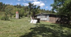 casa c/ 2 hectares parque eldorado 8 km da BR 290