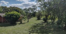 casa c/ 2 hectares parque eldorado 8 km da BR 290