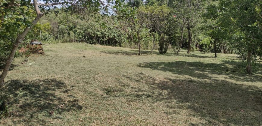 casa c/ 2 hectares parque eldorado 8 km da BR 290