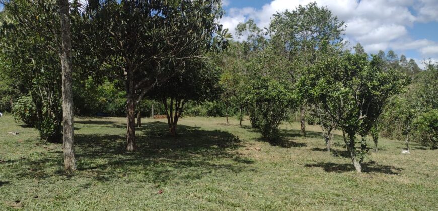 casa c/ 2 hectares parque eldorado 8 km da BR 290