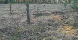 terreno cidade de  mostardas  5000 metros