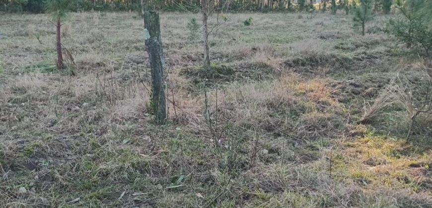 terreno cidade de  mostardas  5000 metros